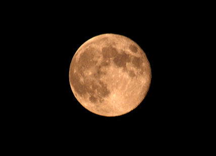 Luna de hiel
