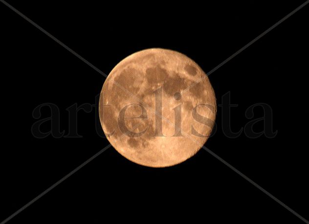 Luna de hiel