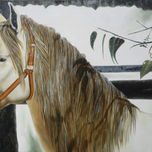 CABALLOS thumbnail 1