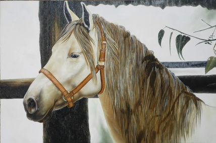 Caballo