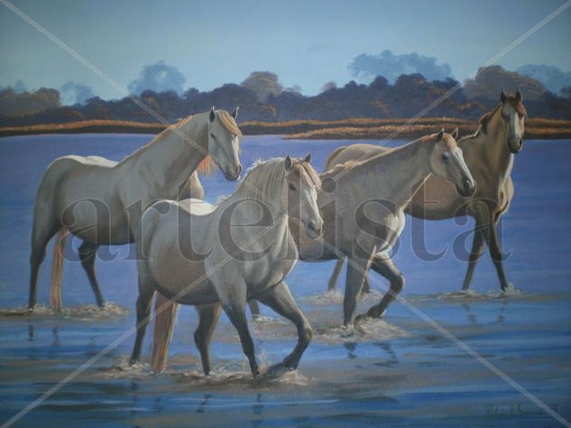 caballos Oil Canvas Animals