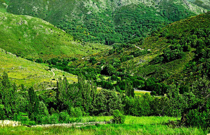 Valle de la Garganta