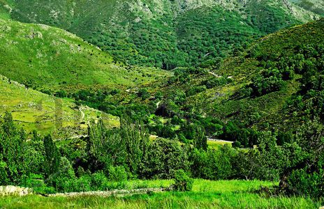 Valle de la Garganta