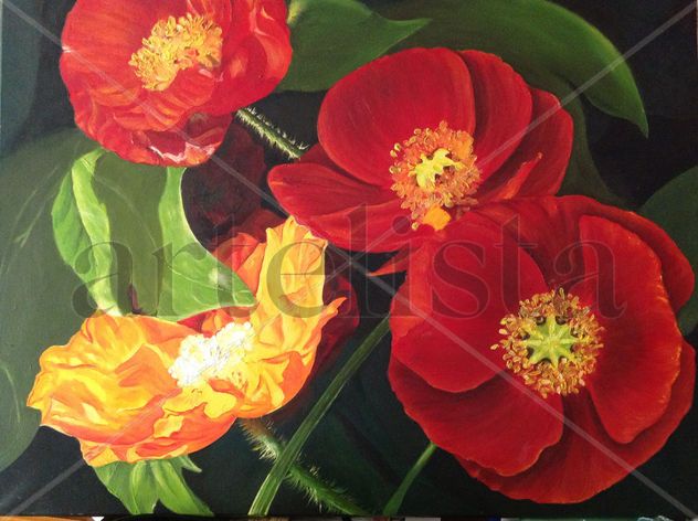 Amapolas