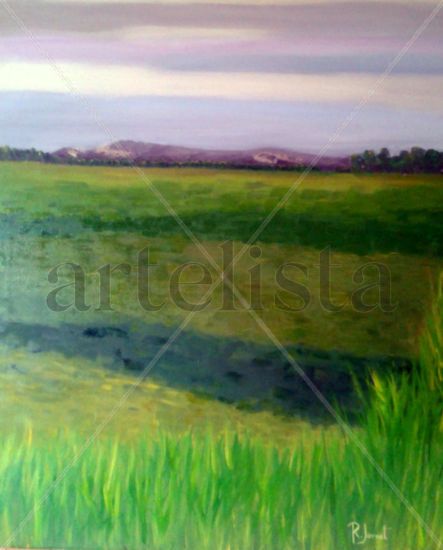 Paisaje de L'Empurda Oil Canvas Landscaping