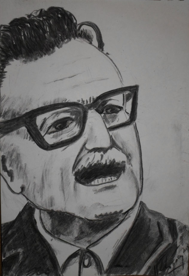allende, año 2018, constitución, chile.,