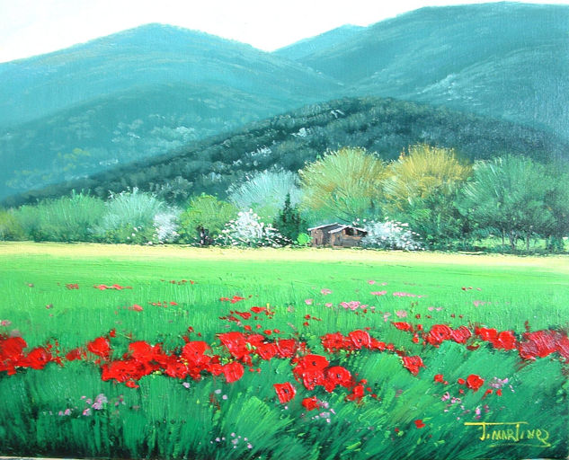 almendros Oil Canvas Landscaping