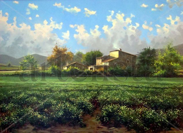 Alforfón Oil Canvas Landscaping