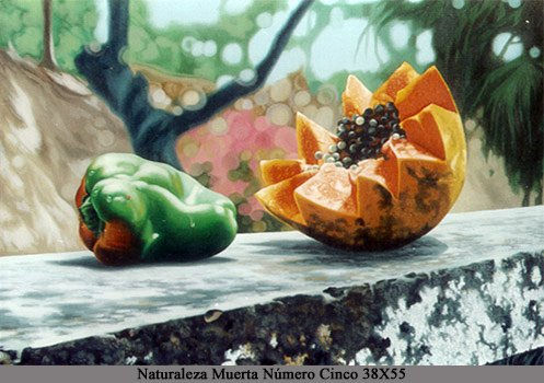 ´´naturaleza muerta #5´´ Oil Canvas Still Life Paintings