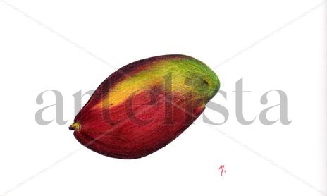 Fruta