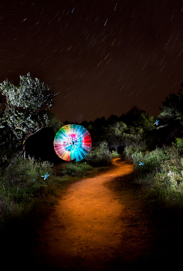 camino de luz