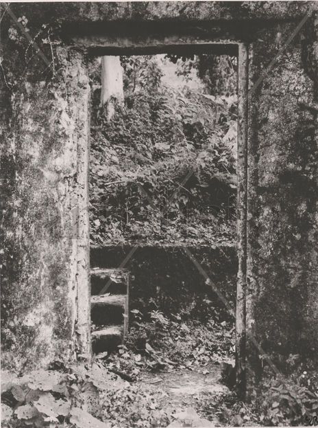 Puerta Ecológica