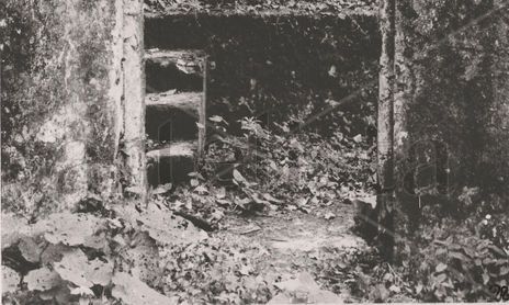 Fotografía B&N