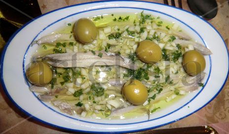 Tapa 05