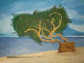 Isla De Aruba