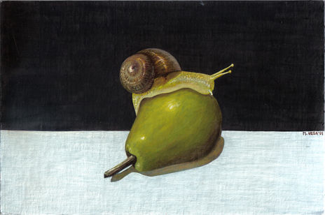 El caracol