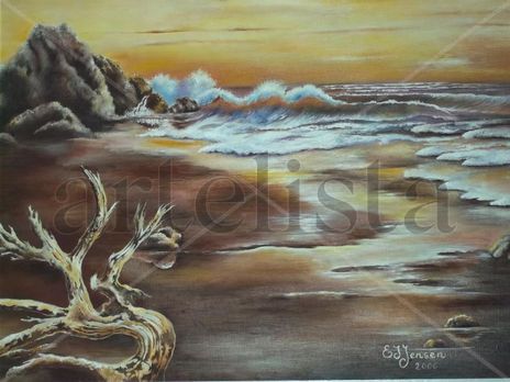 Playa con piedras