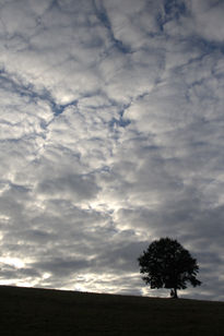 Unidos bajo las nubes