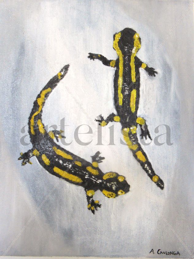 salamanders