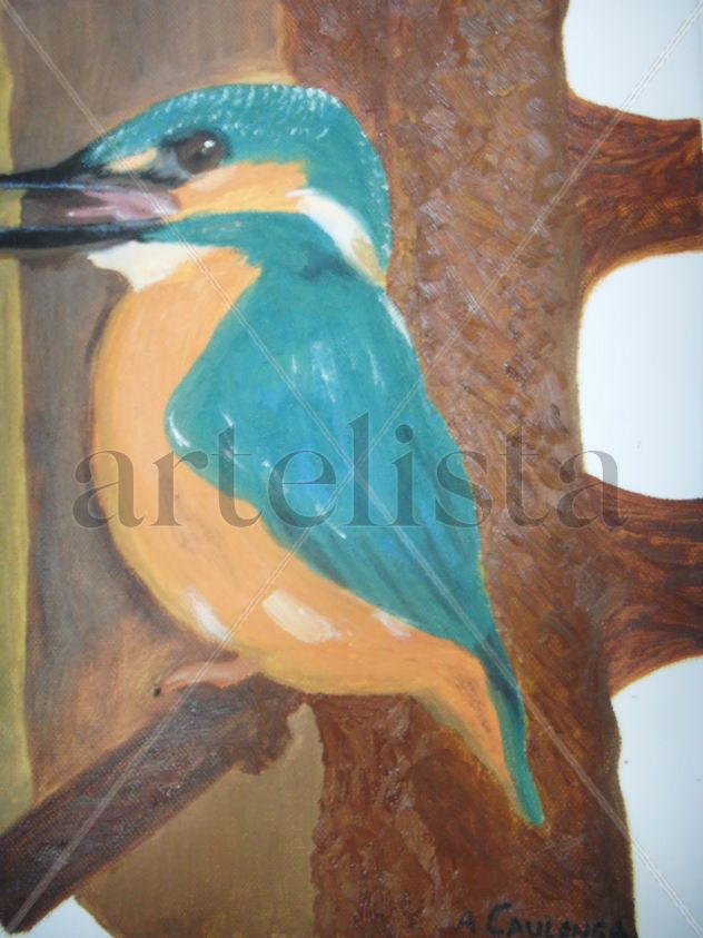 bird