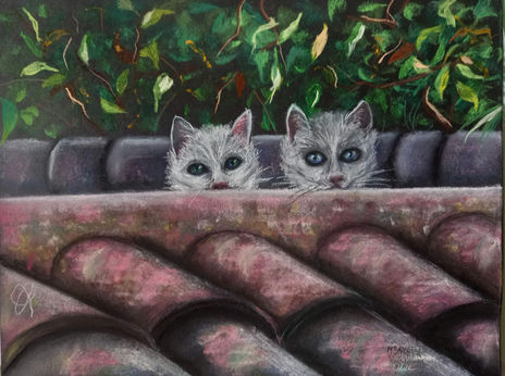 Gatos en el tejado
