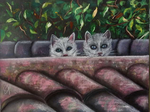 Gatos en el tejado Pastel Cartulina Animales