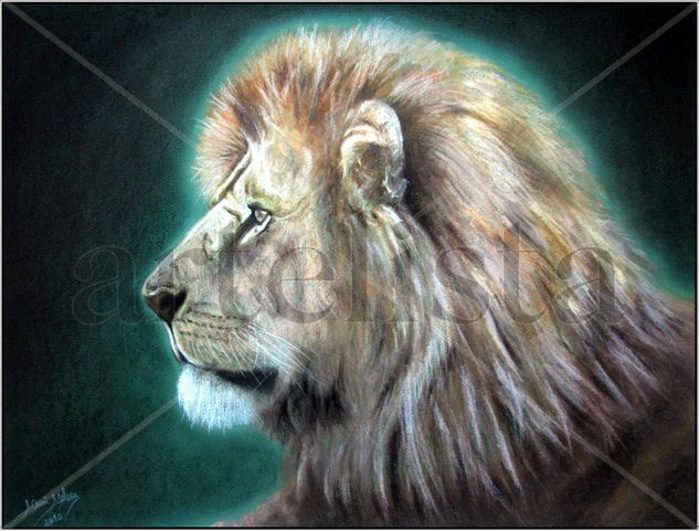 King of the Jungle Pastel Papel Animales