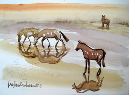 Caballos de sombra