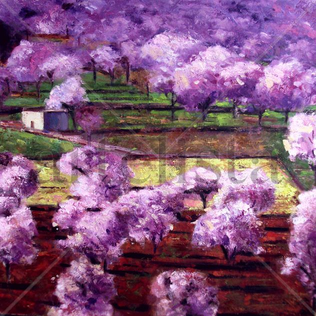 Almendros en flor