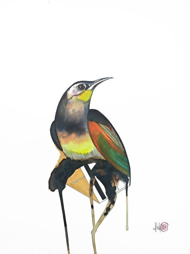 Birdoj (Paradise Birds C)