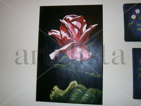 Rosa