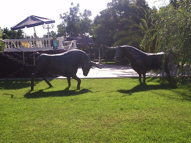 toros  esperanza Metal Figurative