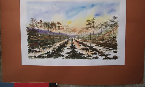 paisajes 2013