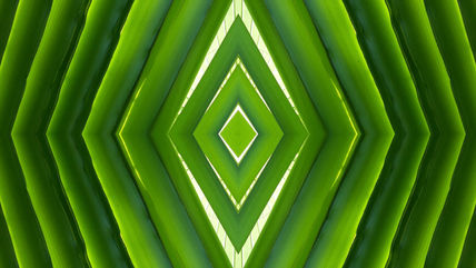 Verde 2