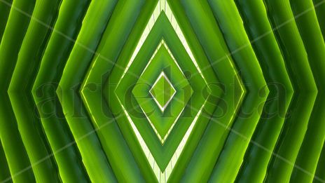 Verde 2