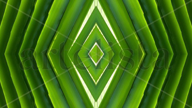 verde 2