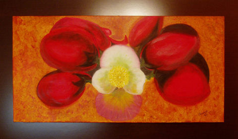 Petalos Rojos