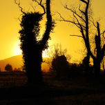 Paisaje thumbnail 1