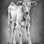 Animales thumbnail 1