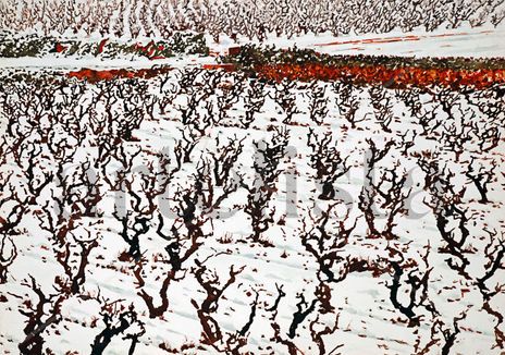 Viñas nevadas