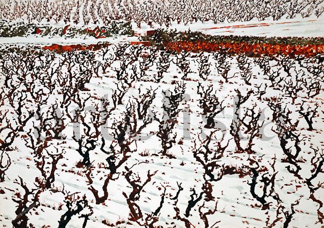 Viñas nevadas