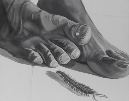 Scalopendra