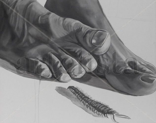 scalopendra