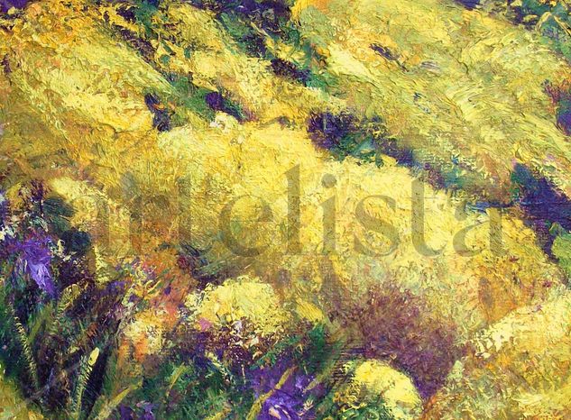 Genista de sol Oil Canvas Landscaping