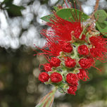 Elementos thumbnail 1