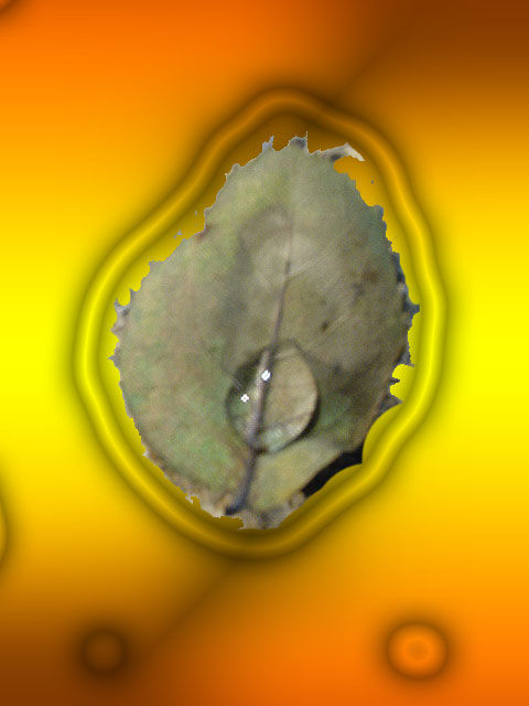 gota de hoja