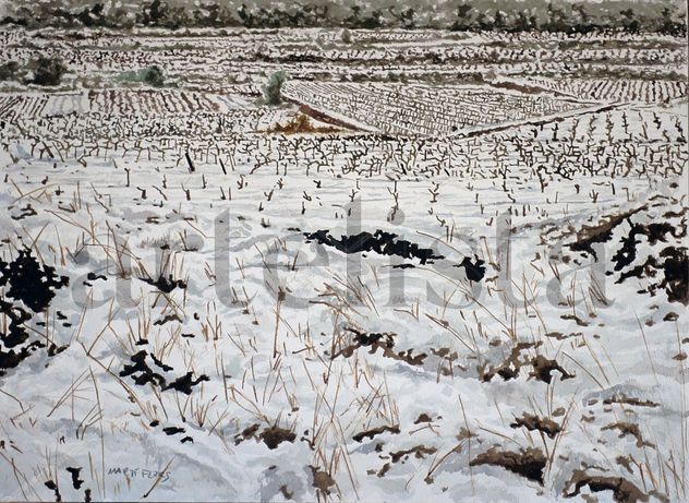 viñas9