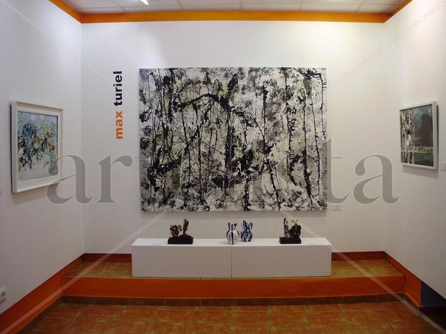 Expo Media Mixta Lienzo Otros