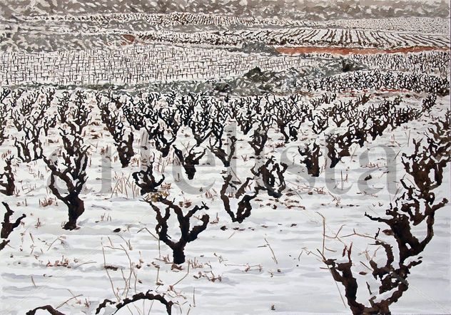 viñas