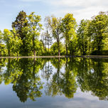 JARDINES DE LA GRANJA thumbnail 2